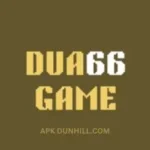 DUA 66