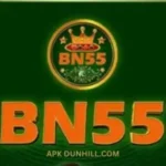 BN55 Game