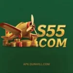 S55 Game
