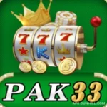 PK33 Game