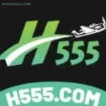 H555 Game
