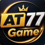 AT77 Game